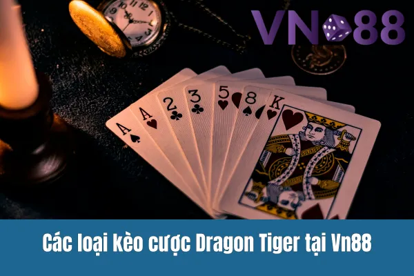 Các loại kèo cược Dragon Tiger tại Vn88