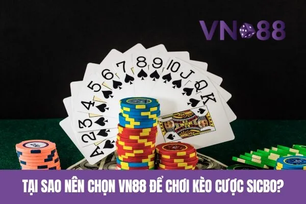 Tại sao nên chọn Vn88 để chơi kèo cược Sicbo