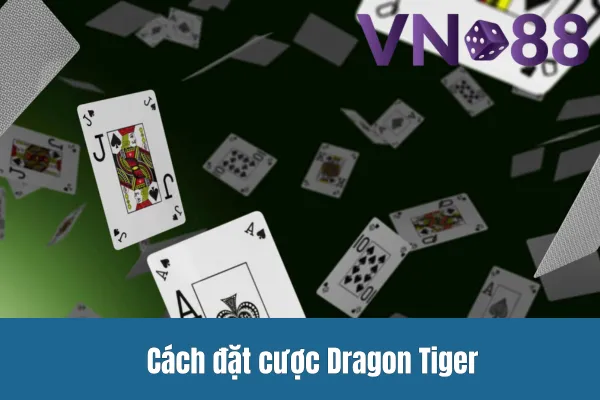 Cách đặt cược Dragon Tiger